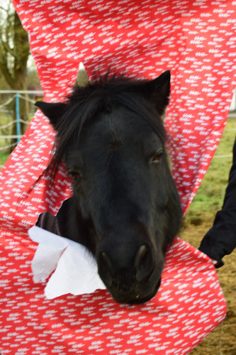 DSC 1537.jpg