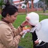 DSCF1053