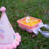 DSCF1047