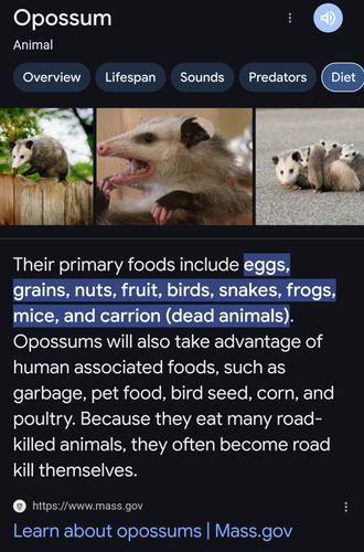 1000008439.png