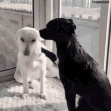 2P8uzIp.gif