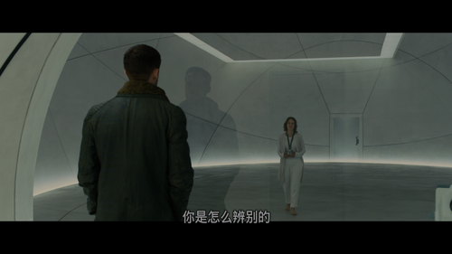 [银翼杀手2049].Blade.Runner.2049.2017.HKG.2160p.UHD.Blu ray.HEVC.TrueHD.7.1 CMCT 20250117 093426.471.png