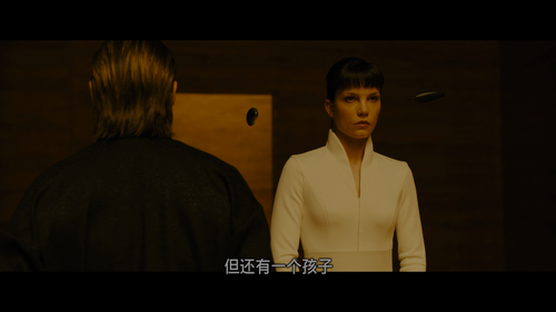 [银翼杀手2049].Blade.Runner.2049.2017.HKG.2160p.UHD.Blu ray.HEVC.TrueHD.7.1 CMCT 20250117 093421.656.png