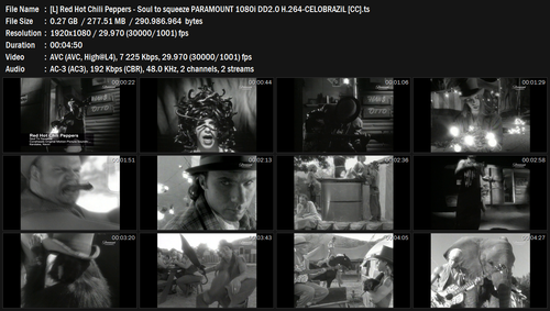 [L] Red Hot Chili Peppers Soul to squeeze PARAMOUNT 1080i DD2.0 H.264 CELOBRAZiL [CC].ts.png