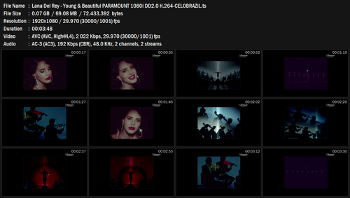 Lana Del Rey Young & Beautiful PARAMOUNT 1080i DD2.0 H.264 CELOBRAZiL.ts.png