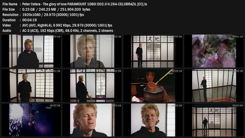 Peter Cetera The glory of love PARAMOUNT 1080i DD2.0 H.264 CELOBRAZiL [CC].ts.png