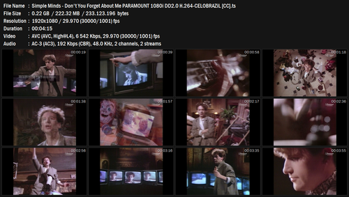 Simple Minds Don't You Forget About Me PARAMOUNT 1080i DD2.0 H.264 CELOBRAZiL [CC].ts.png