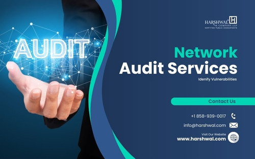 network audit service identify vulnerabilities HCLLP.jpg
