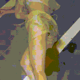 3.gif