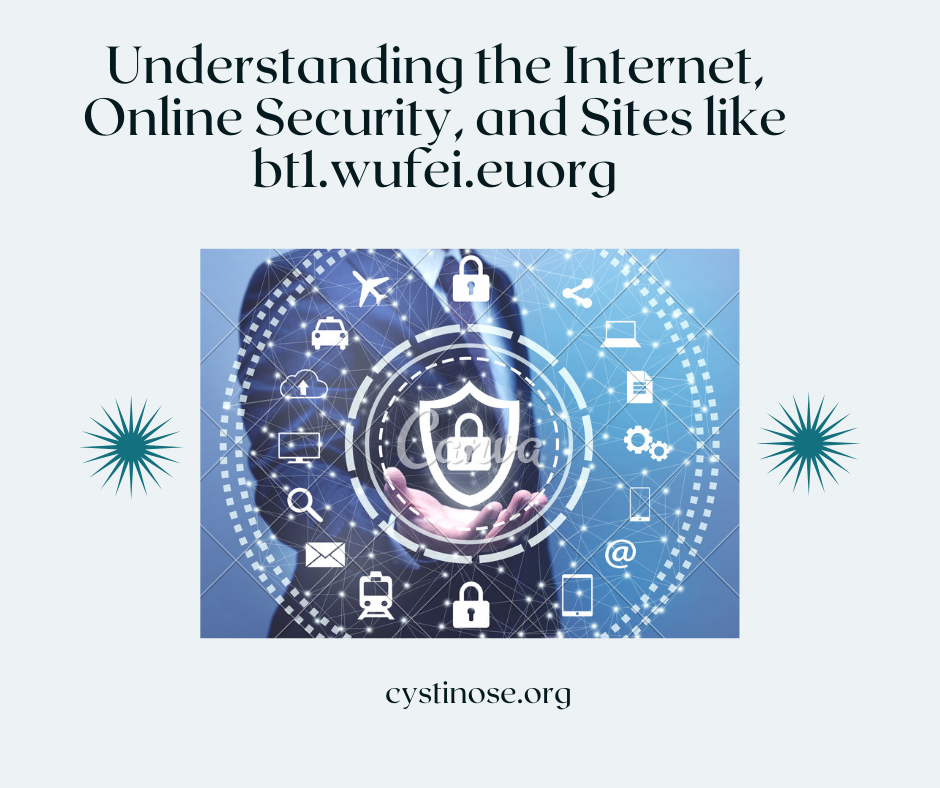 Understanding the Internet, Online Security, and Sites like bt1.wufei.euorg