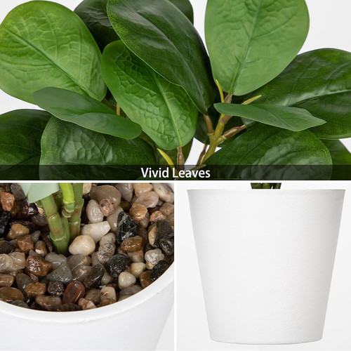 71AFAqI8kjL. AC SL1500 .jpg