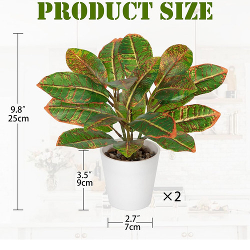 71KDb2Xtb L. AC SL1500 .jpg