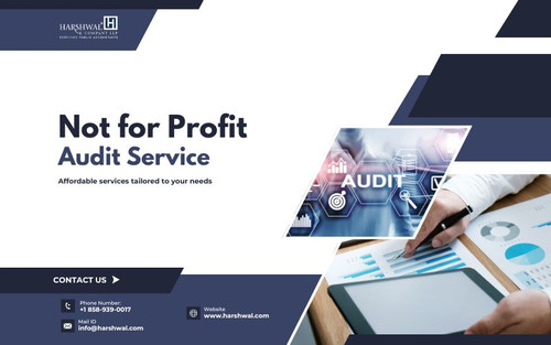 not for service audit service tailored to your needs HCLLP.jpg