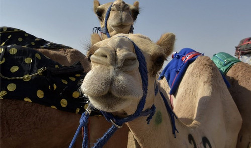 2PoABVe.md.jpg