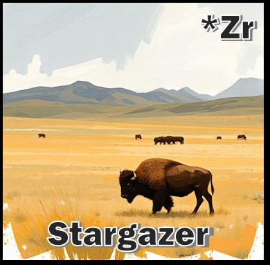 Stargazer15.jpg