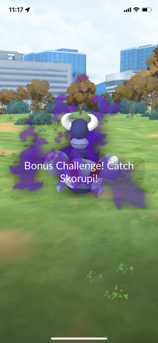 IMG 3462.png