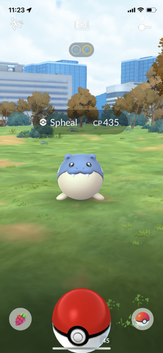 IMG 3466.png