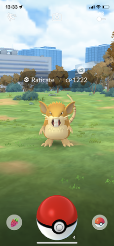 IMG 3444.png