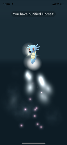 IMG 3428.png