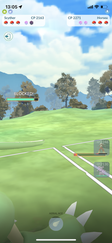 IMG 3406.png
