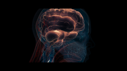 Snímka obrazovky 2025 01 17 215712.png