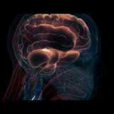 Snímka obrazovky 2025 01 17 215712