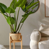 How To Achieve Peak Coziness, According to Two Cozy Experts