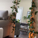 Let’s plantify this boring mirror!🌿 Do we love !✨