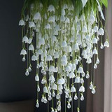 81ac367e 2800 4b06 b549 149c7e8c018e