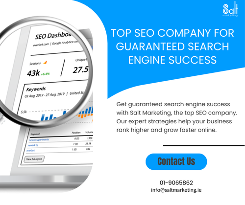 Top SEO Company for Guaranteed Search Engine Success.png