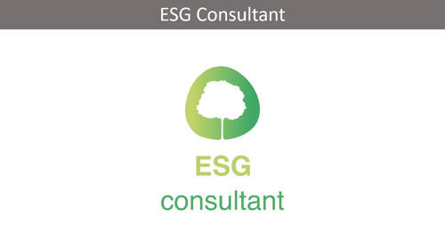 ESG Consultant.jpg