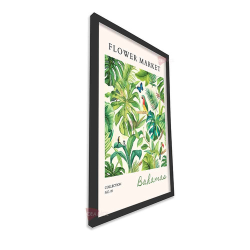 mnr verano vertical vvr31.jpg