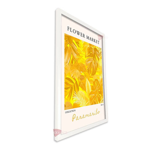 bl verano vertical vvr59.jpg