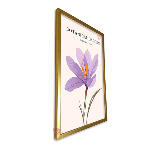 mdr verano vertical vvr54.jpg