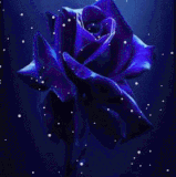 flower images.gif