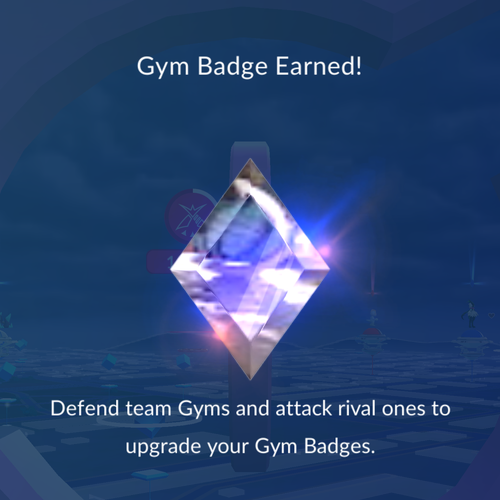 IMG 3795.png