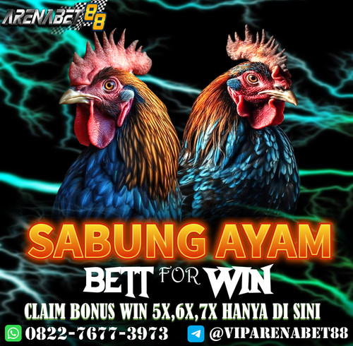 SABUNG WIN 5X.jpg