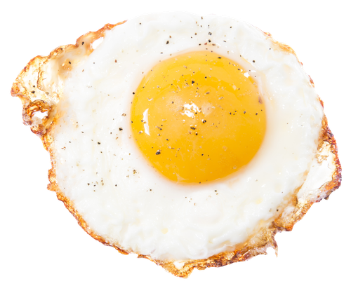 designerswebsite food veg non veg (13)