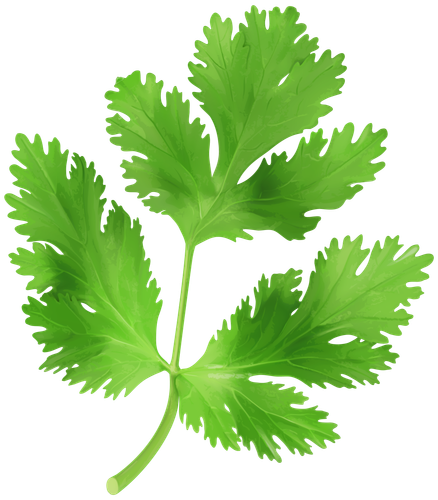 designerswebsite food veg non veg (15)