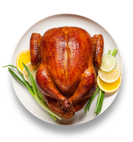designerswebsite food veg non veg (27)