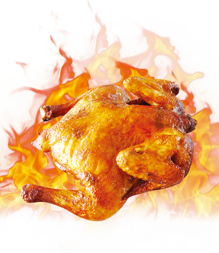 designerswebsite food veg non veg (23)