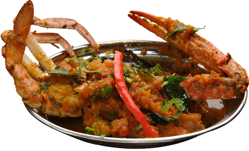 designerswebsite food veg non veg (5)