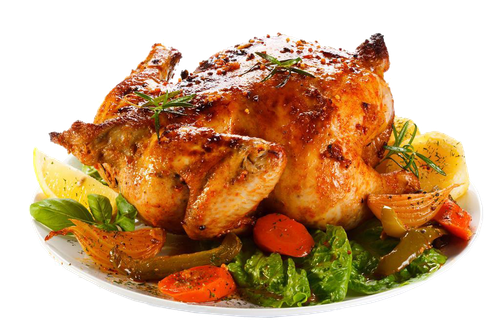 designerswebsite food veg non veg (26)