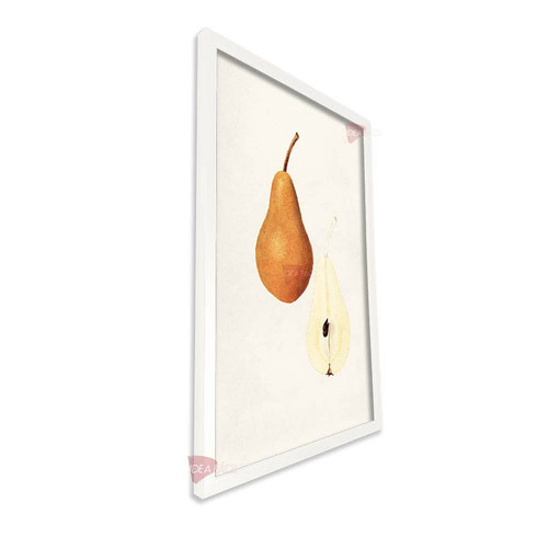 bl frutas vertical fvf69.jpg