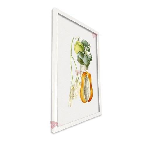 bl frutas vertical fvf91.jpg