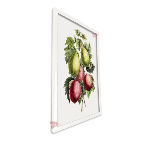 bl frutas vertical fvf88.jpg