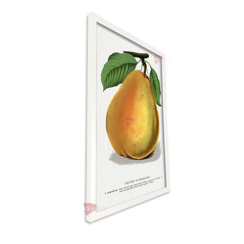 bl frutas vertical fvf86.jpg