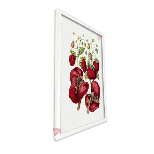 bl frutas vertical fvf89.jpg
