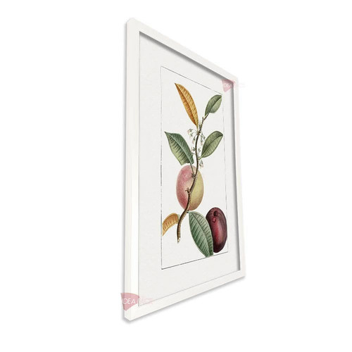 bl frutas vertical fvf92.jpg