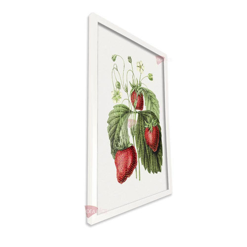 bl frutas vertical fvf87.jpg